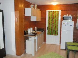 Проживание в семье Wypoczynek u Gosi Grywałd Double Room with Private Bathroom - Green-6